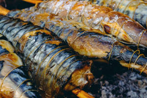 Grilled Mackerel On Stick Wallpaper