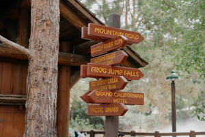 Grizzly Peak At Disneyland Desktop Wallpaper