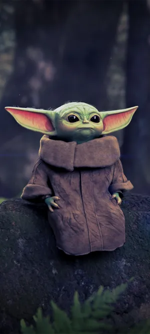 Groguin Forest Robe Wallpaper