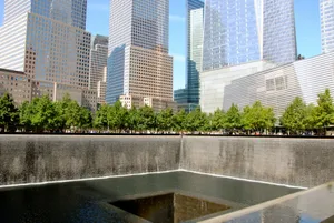Ground Zero With Trees And Building Wallpaper
