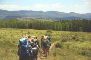 Group Of People Hiking Together Wallpaper