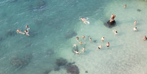 Group Of People Swimming In Water Wallpaper