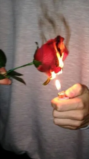 Grunge Tumblr Aesthetic Burning Rose Wallpaper