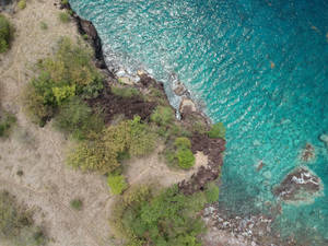 Guadeloupe Blue Waters Wallpaper