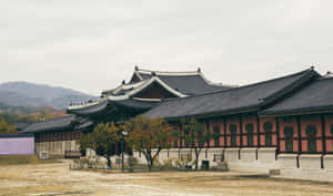 Gyeongbokgung Palace Vintage Aesthetic Photo Wallpaper