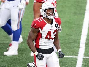 Haason Reddick National Football League Wallpaper