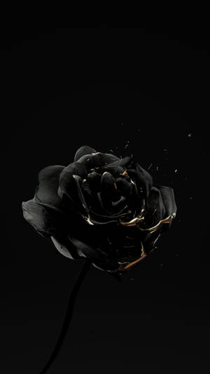 Halfeti District Black Rose Iphone Wallpaper