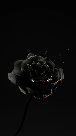 Halfeti District Black Rose Iphone Wallpaper
