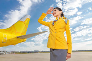 Hand Salute Flight Attendant Wallpaper