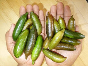 Handfuls Of Finger Limes Wallpaper