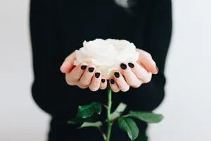 Hands Holding White Rose Aesthetic Phone Wallpaper