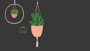 Hanging Plants January 2022 Calendar Wallpaper