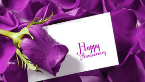 Happy Anniversary Letter With Purple Rose Wallpaper