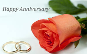 Happy Anniversary With Rings And Rose Wallpaper