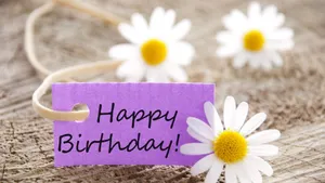 Happy Birthday Flowers White Daisies Wallpaper