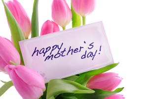 Happy Mothers Day Pink Rose Wallpaper