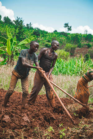 Happy Young Farmers Wallpaper