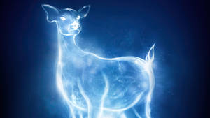 Harry Potter Casts A Patronus Charm. Wallpaper