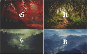 Harry Potter Houses Nature Aesthetic Wallpaper