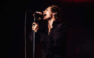 Harry Styles Enjoys The View From His Laptop Wallpaper