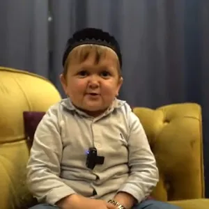 Hasbulla Sitting On Sofa Wallpaper