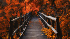 Have The Perfect View Of Autumn With This 3840 X 2160 Wallpaper Wallpaper