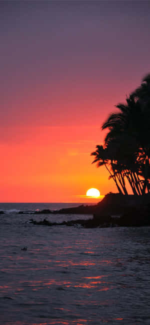 Hawaii - An Island Paradise Wallpaper