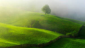 Hazy Green Hill Wallpaper