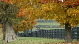Hd Autumn Horse Ranch Wallpaper
