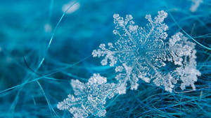 Hd Cool Snowflakes Wallpaper