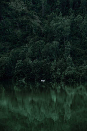 Hd Forest With White Boat Wallpaper