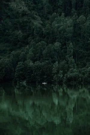 Hd Forest With White Boat Wallpaper