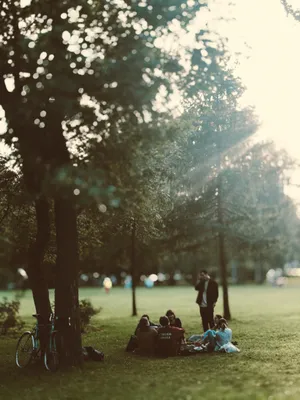 Hd Nature Phone Park Wallpaper