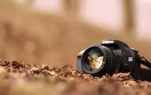 Hd Photography Of Camera By The Fallen Leaves Wallpaper