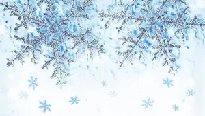 Hd Snowflakes In Winter Wallpaper