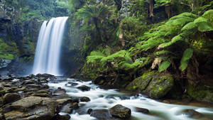 Hd Waterfall Australia's Hopetoun Falls Wallpaper