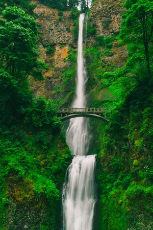 Hd Waterfall Benson Bridge And Multnomah Falls Wallpaper
