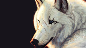 Hd Wolf Scar Wallpaper