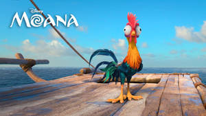 Hei Hei The Rooster Moana 4k Wallpaper