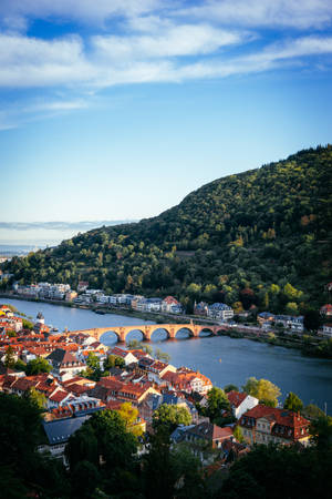 Heidelberg Castle Ruins Germany Wallpaper