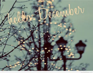 Hello December Winter Tree Wallpaper