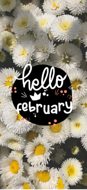 Hello February - Celebrate Spring's Arrival! Wallpaper