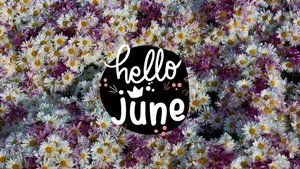Hello June On A Field Of White And Purple Flowers Wallpaper
