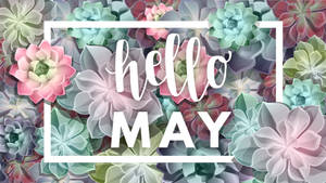 “hello To A Fresh Start: May And Its Favorable Succulents” Wallpaper