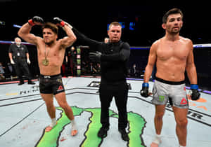 Henry Cejudo Versus Dominick Cruz Ufc 249 Wallpaper