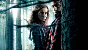 Hermione Granger And Ron Weasley Make A Comeback Wallpaper