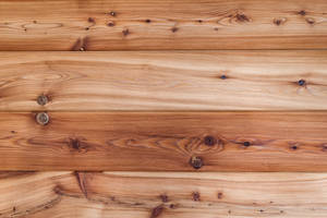 Hi Res Texture Wood Wall Wallpaper