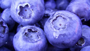 High Contrast Blueberries Wallpaper