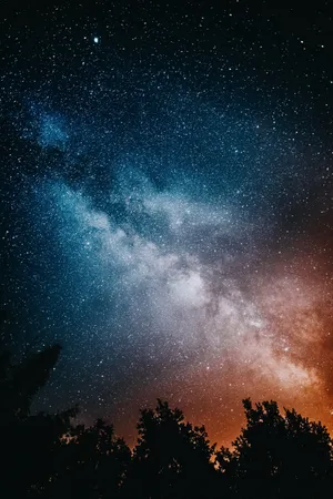 High Resolution Star And Trees Wallpaper