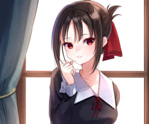 High School Politics Become A Battlefield! Wallpaper